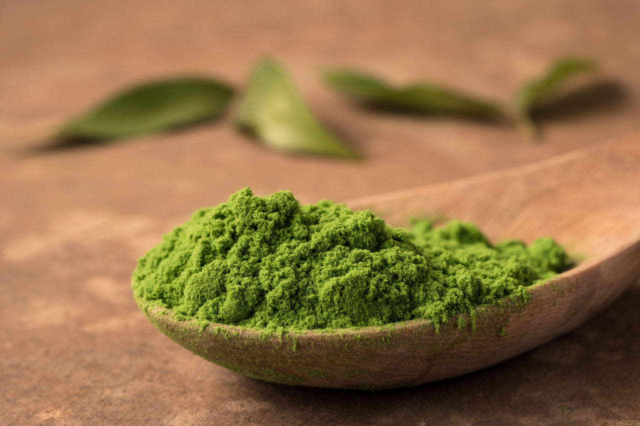 모시잎 가루 green powder 1lb