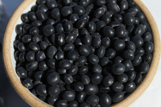 Mouse Eye Beans 쥐눈이콩