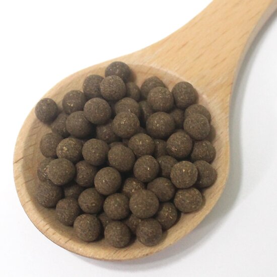 구절초 환 chrysanhemum zawadskii