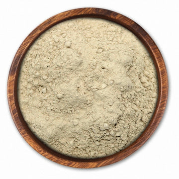 Shiitake Mushroom Powder 표고버섯가루