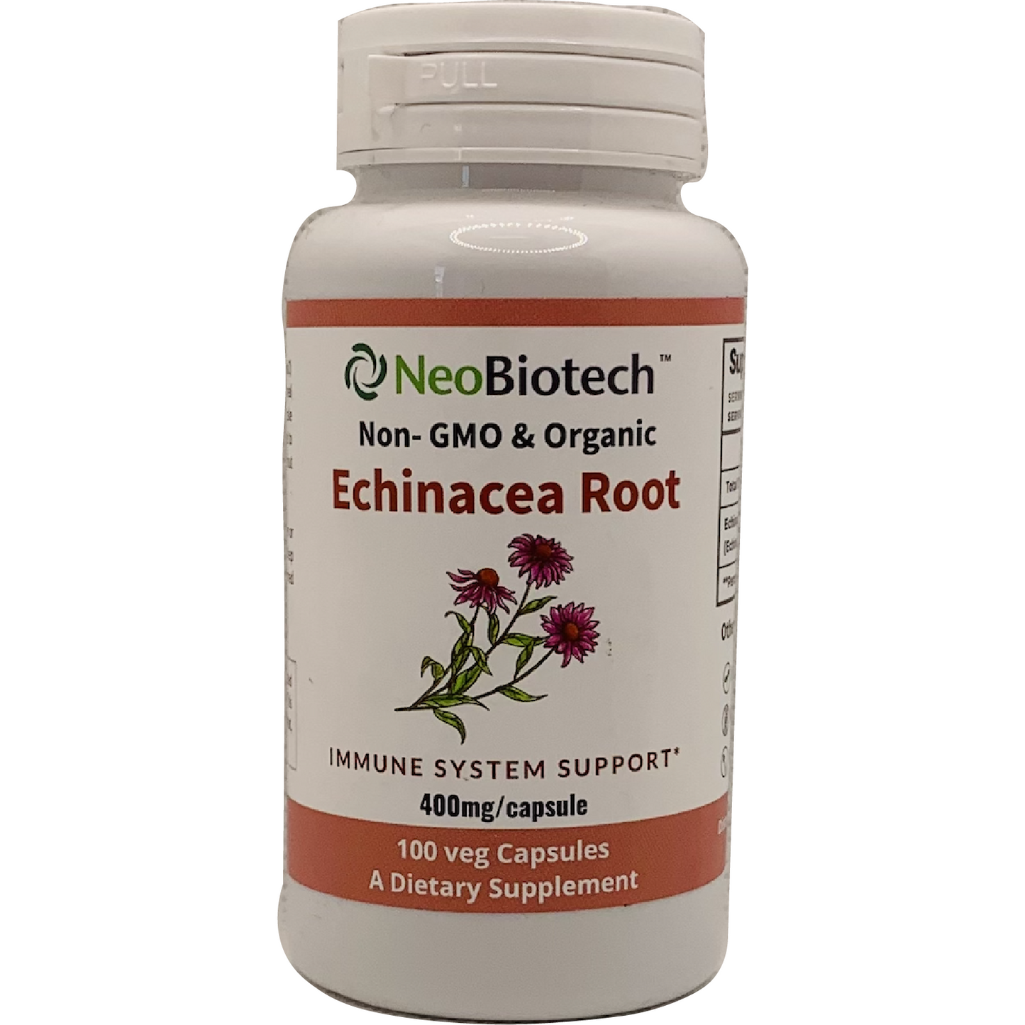 Echinacea 에크나시아