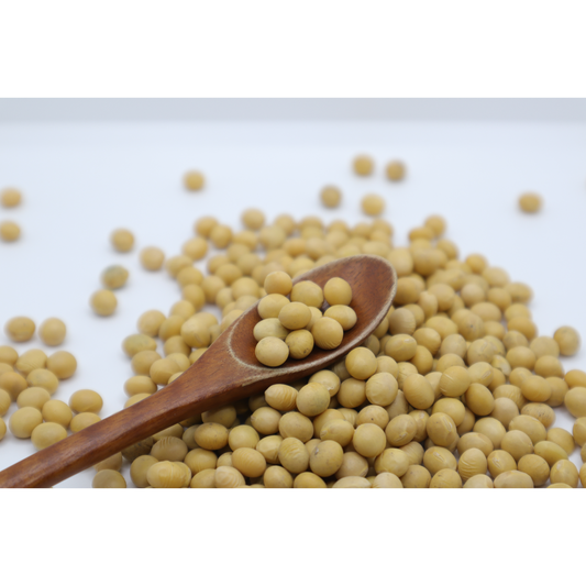 Soybeans 메주콩
