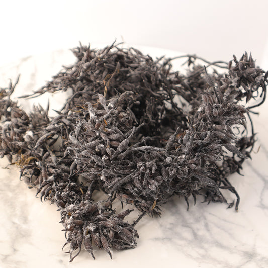 Dried Hijiki 완도산 마른 톳