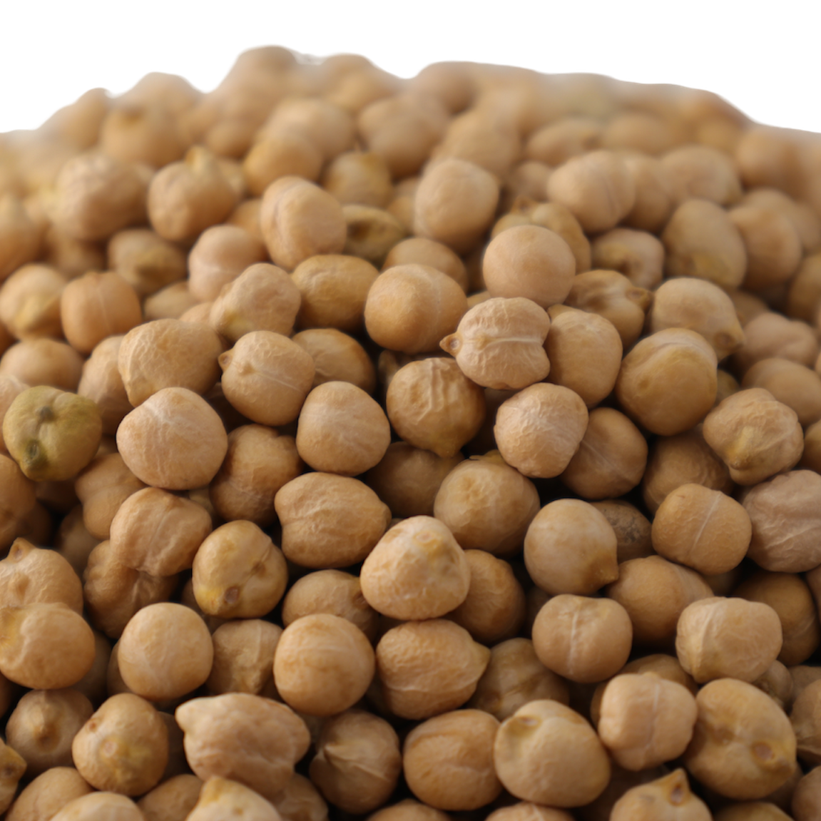 Chickpeas 병아리콩