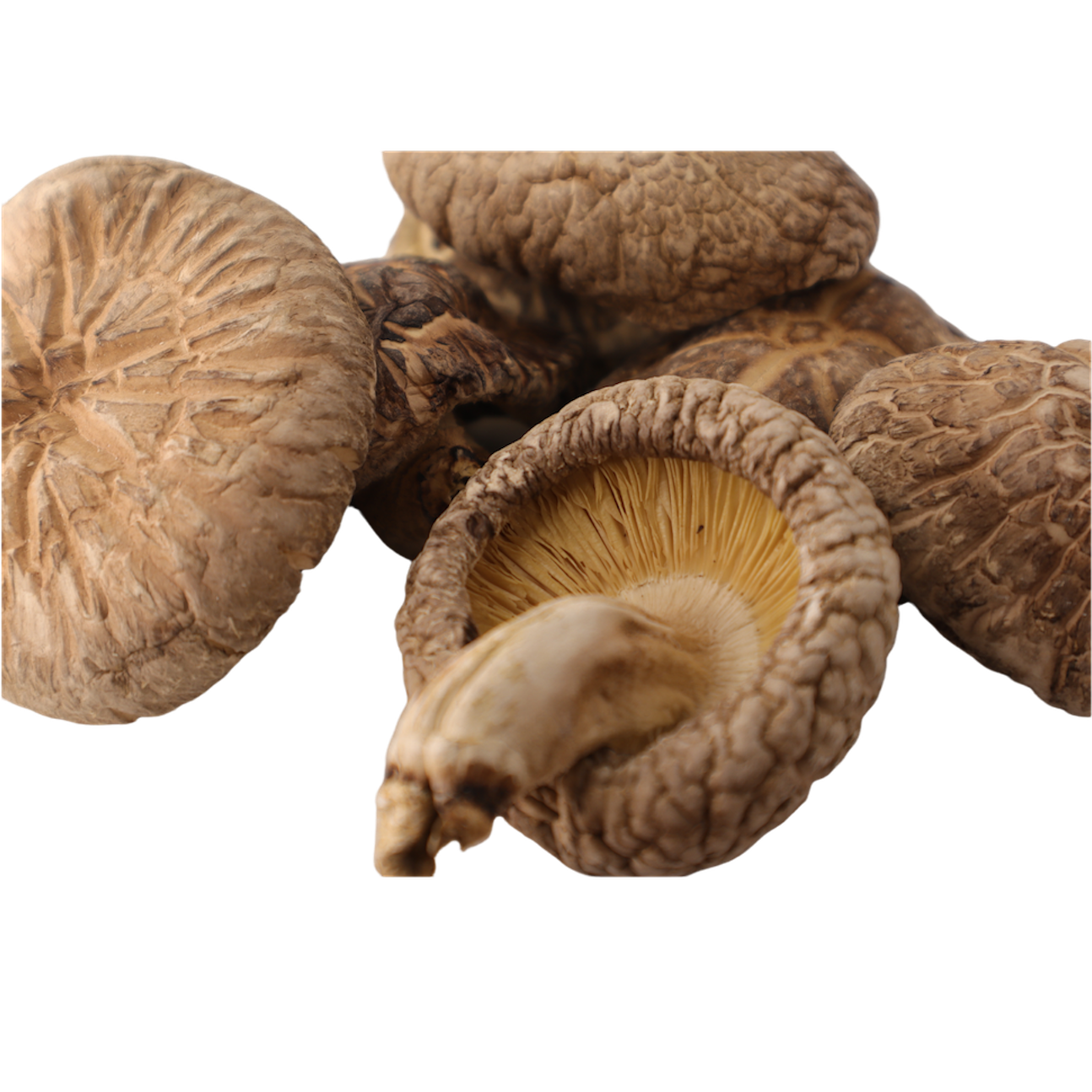 SuSan Region Shiitake Mushrooms  (Organic) 장흥 표고버섯 (유기농)