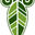 Natural Health Column logo
