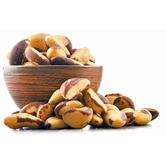 Brazil nut 브라질넛